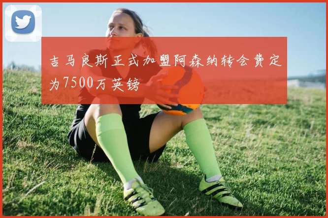 吉马良斯正式加盟阿森纳转会费定为7500万英镑